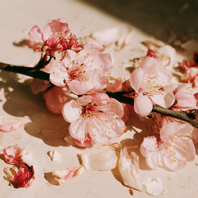 Heart notes