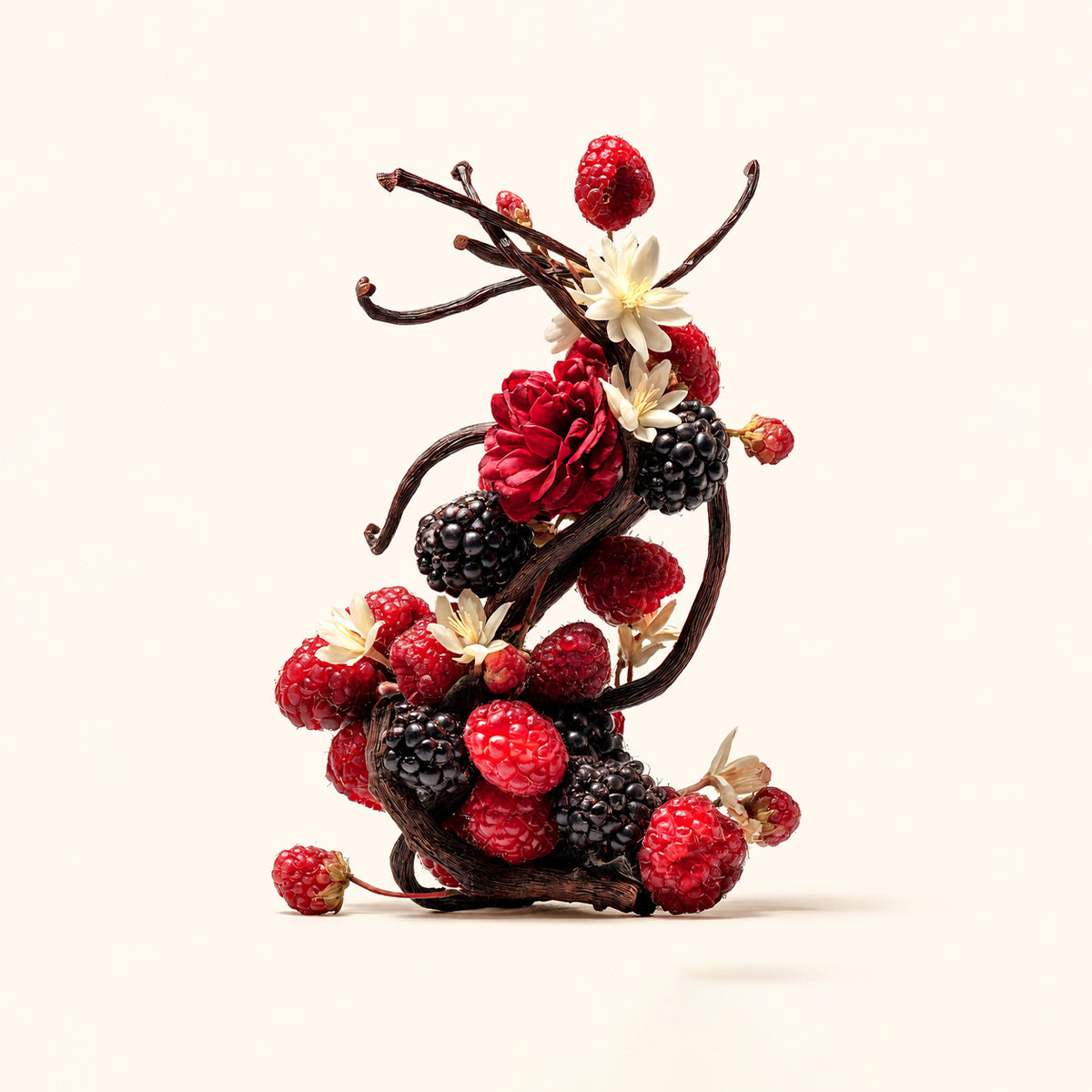 Ambitione composition