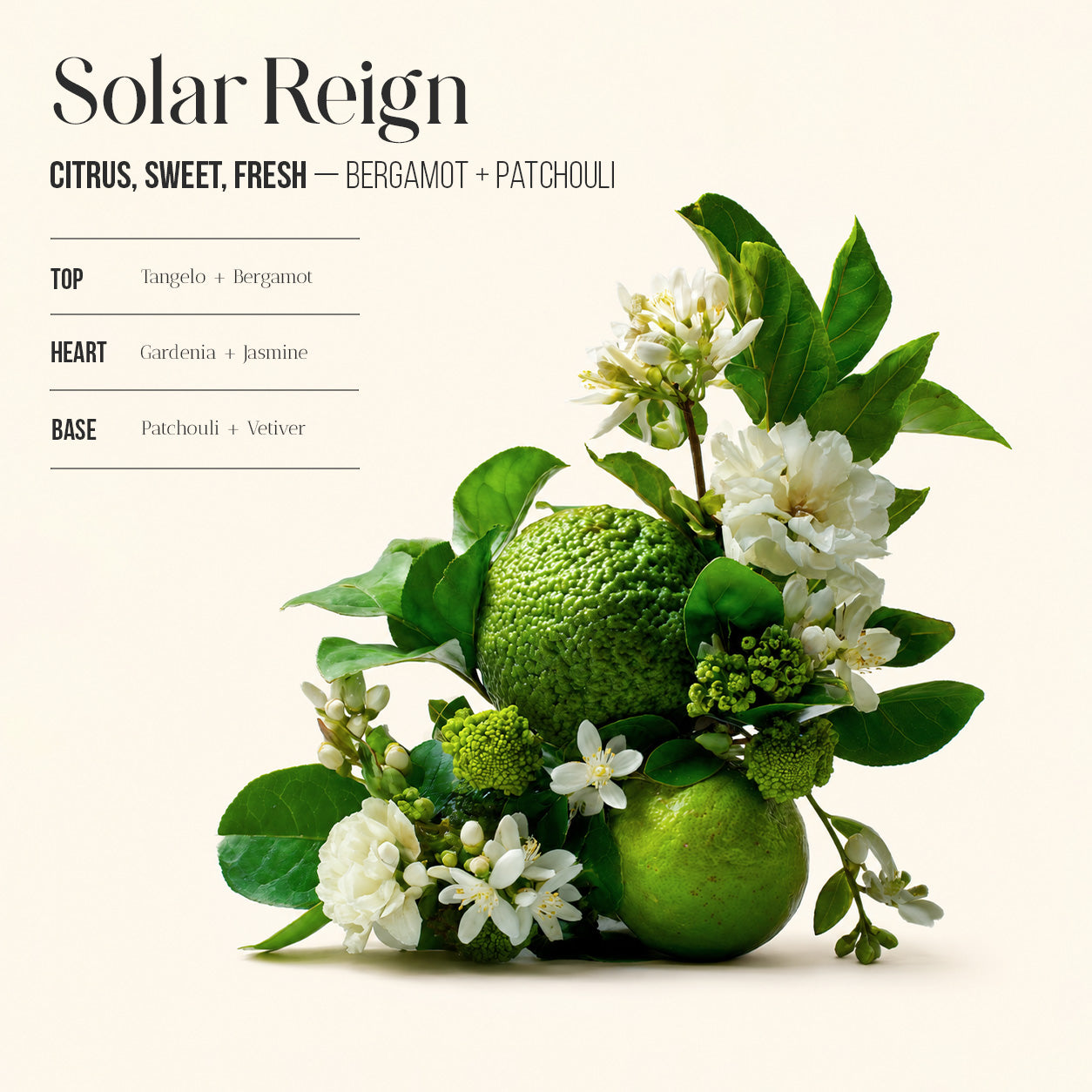 stardate-fragrance-leo-zodiac